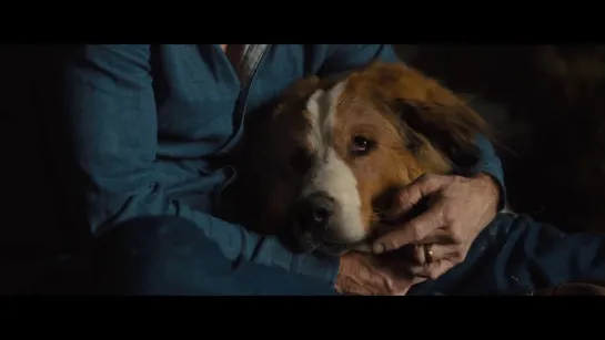 Собачья жизнь 2 A Dog's Journey, 2019 / Семейный фильм / Трейлер