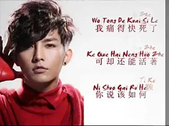 Aaron Yan - "The Next Me" with Lyrics&Pinyin