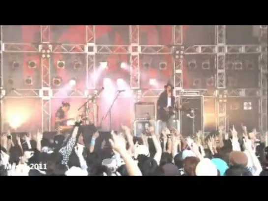 Rock in Japan Festival 2011 (mucc, MIYAVI, Plastic tree)