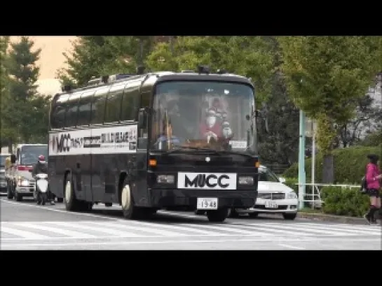 Mucc bus