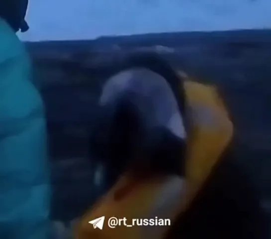 Видео от ЯжеРЫБАК