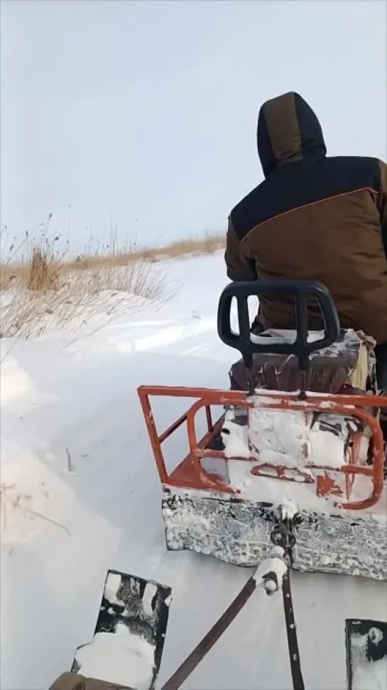 Видео от Сергея Никитина