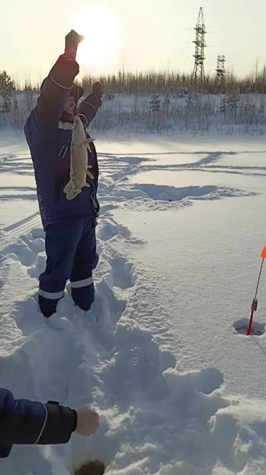 Видео от Андрея Догнеева