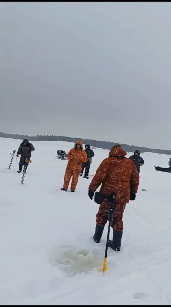 Видео от Максима Алексеева