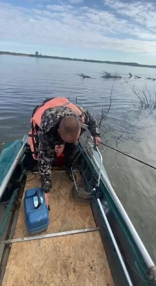 Видео от Андрея Догнеева