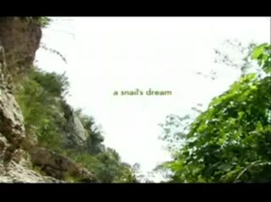 minuscule - snail's dream