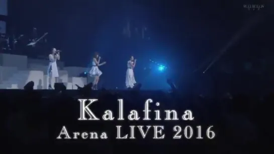 Kalafina - Arena Live on WOWOW Live - Short TV commercial