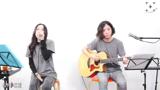 H-el-ical// - 水 - Find your answer (H-el-ical//×SPICE - Acoustic Live (5.4.2020))