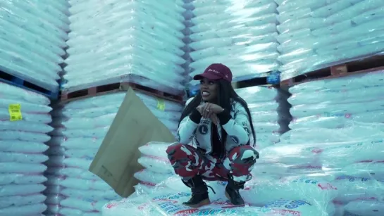 Lady Leshurr - New Freezer