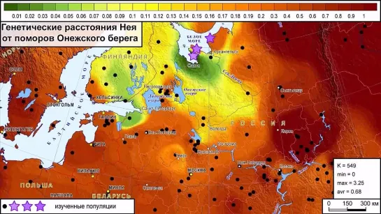 Поморы Онежского полуострова и Зимнего берега в Североевропейском генетическом контексте