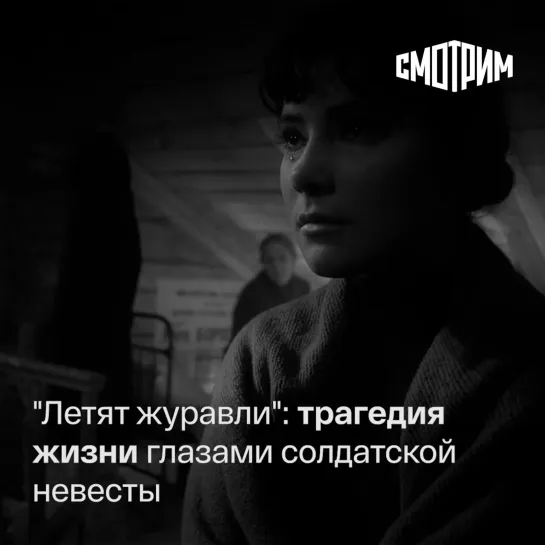 "Летят журавли": трагедия жизни глазами солдатской невесты