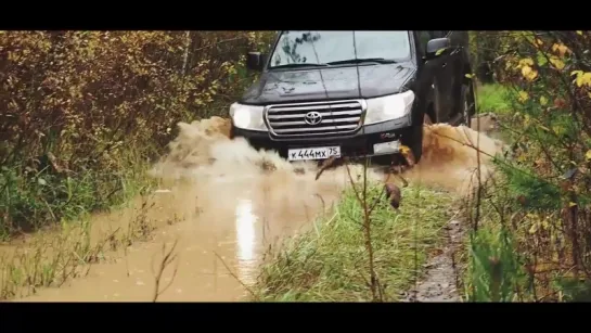 Range Rover &  Friends