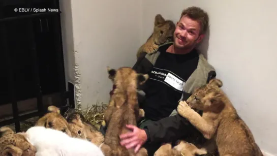 Ganz zahm Film-Vampir Kellan Lutz kuschelt mit Tigerbabys