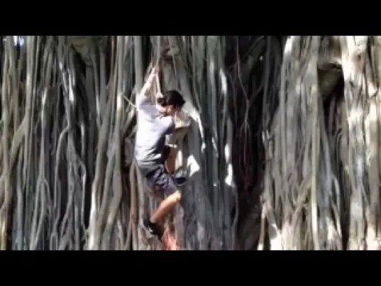 Booboo Stewart's experience with a banyan tree.