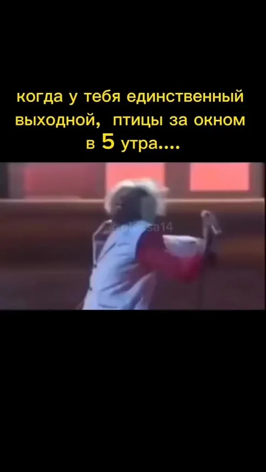 Каждый мой выходной...