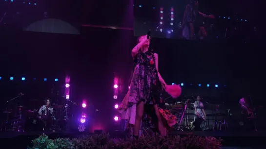 RUNAWAY LiSA - LiVE is Smile Always～Eve＆Birth～「the Birth」at NIPPON BUDOKAN