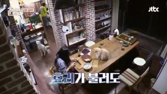 Hyori's Guest House - BTS cut