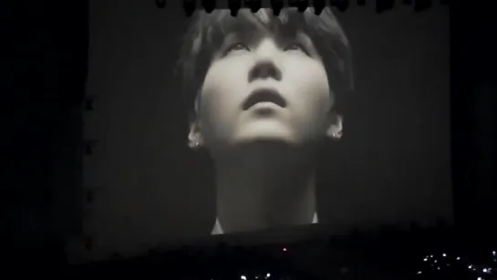 The WINGS tour VCR