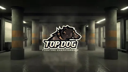 Top Dog Fighting Championship