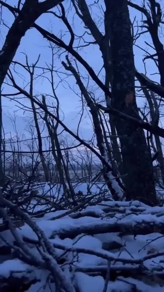 Видео от Военная Разведка России