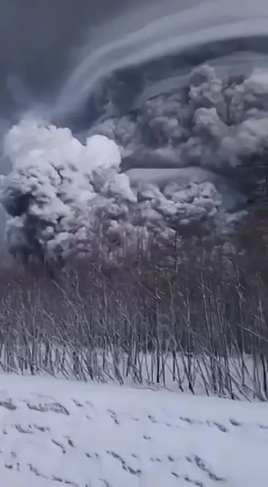 Видео от Военная Разведка России