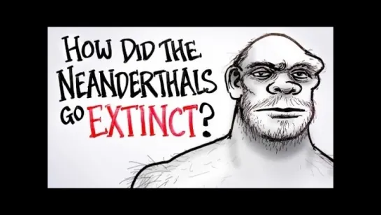 How Did The Neanderthals Go Extinct?