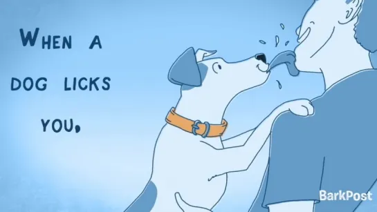 Why Do Dogs Lick People?