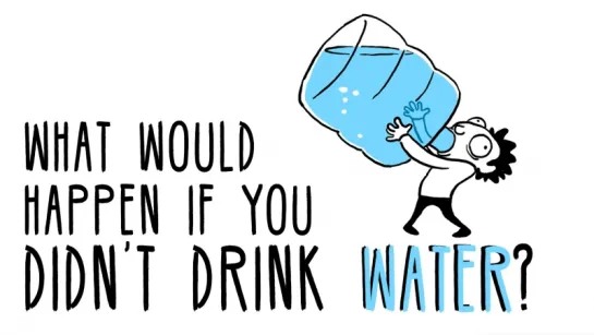 What would happen if you didn’t drink water