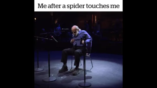 spiders