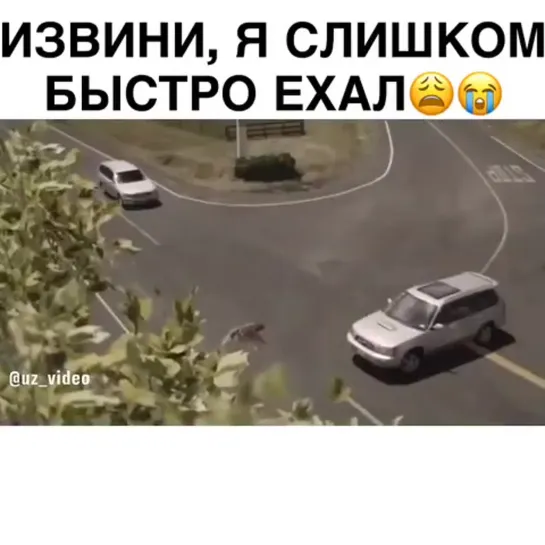 Извини.я слишком быстро ехал...