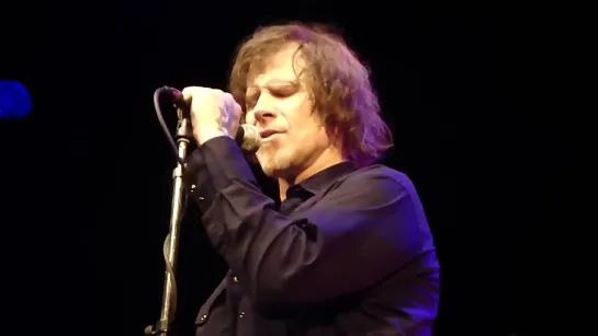 Mark Lanegan - Wild Flowers