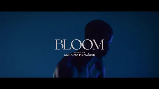 Цветение 🌺 Bloom