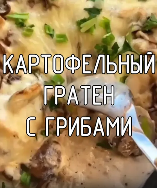 Картофельный гратен с грибами