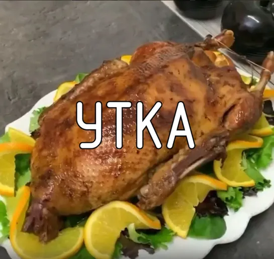 Утка