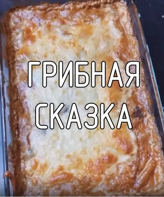 Грибная сказка