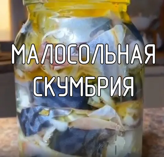 Малосольная скумбрия