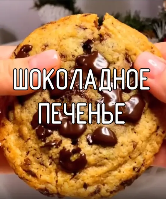 Шоколадное печенье