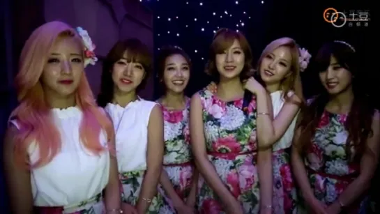 [TV] A PINK - BEHIND THE SHOW (150729 SBS MTV "THE SHOW")