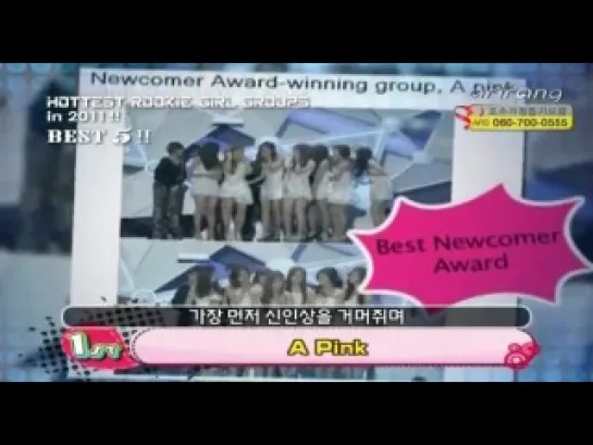 [TV] A Pink - Hottest Rookie in 2011 (Arirang TV)