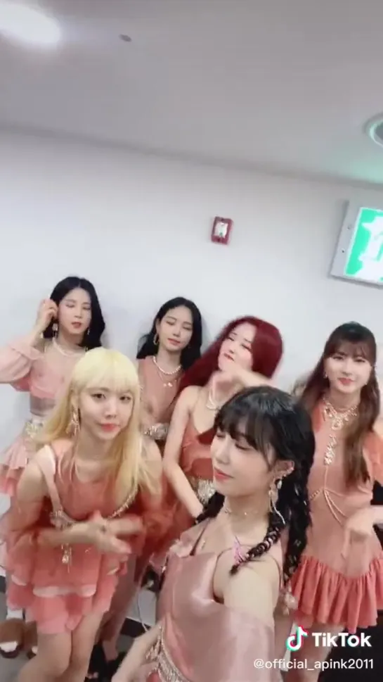 [SNS][2OO413] TIKTOK APINK