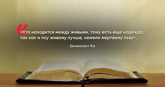 Демократы и республиканцы - почему в США только две партии