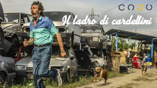 Il ladro di cardellini