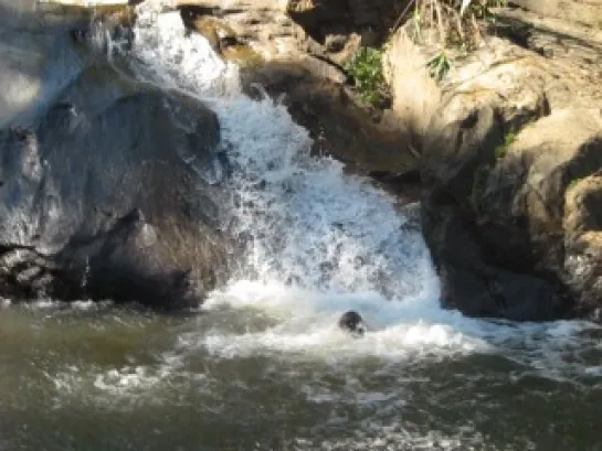 водопад близ города пай