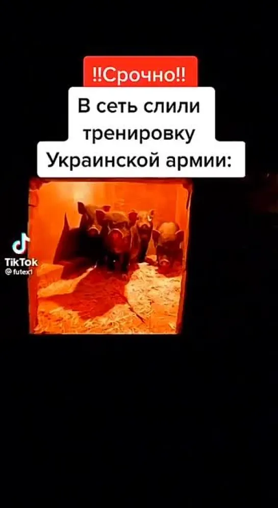 Совсекретное видео подготовки бандеровского спецназа Кракен иностранными инструкторами