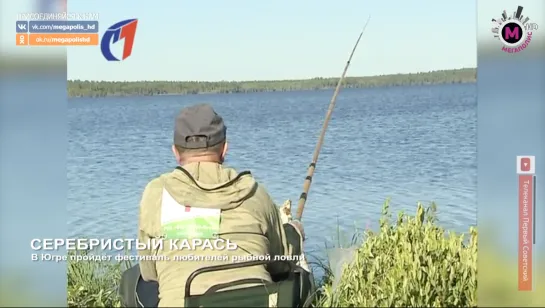 Мегаполис - Серебристый карась - Советский район