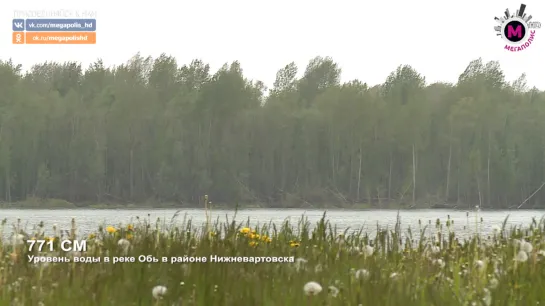 Мегаполис - Уровень воды - Нижневартовск