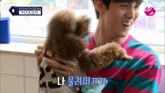 PENTAGON MAKER [M2 PentagonMaker] SHIN WON, HUI and YEO ONE Go to a Dog Cafe for Some Terrifying Fun