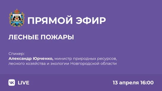 О лесных пожарах в Новгородской области