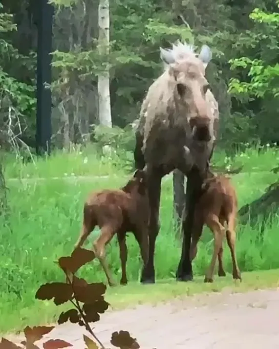 Столовая открыта..)))