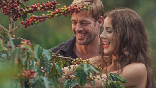 William Levy - Cafe con aroma de mujer ( 1 серия)